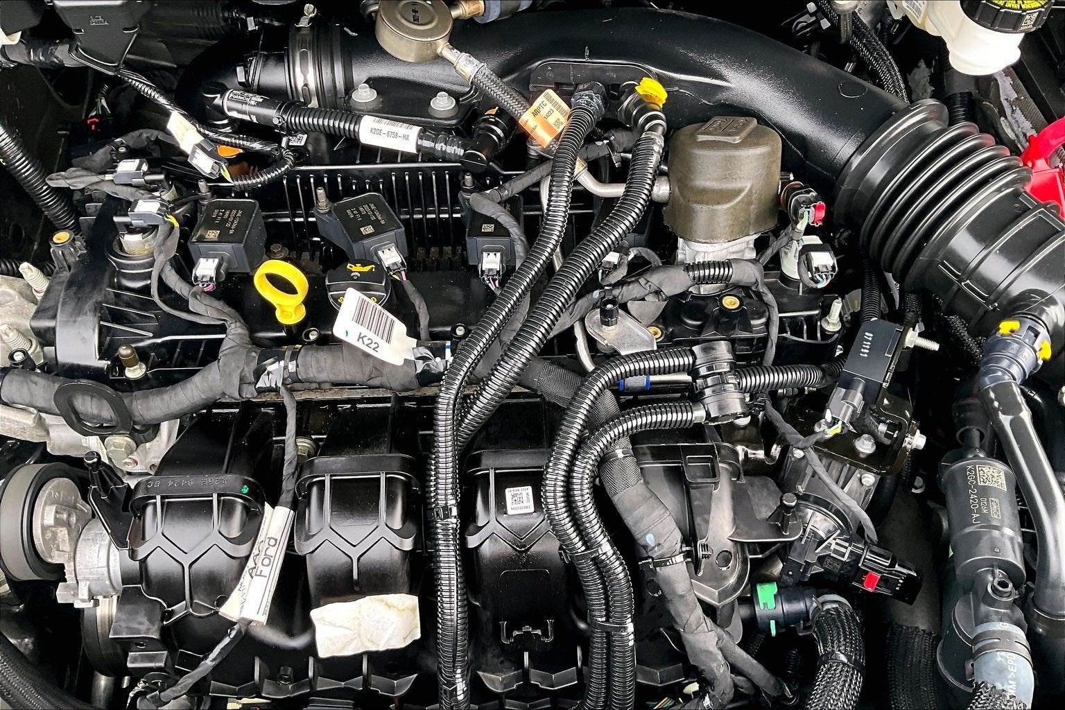Photo 31