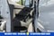 2024 Ford Transit Cargo Van 250
