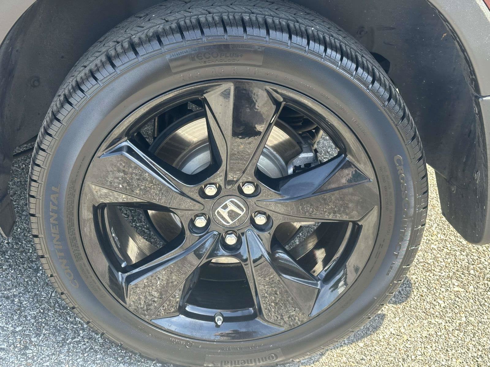 2019 Honda Passport Elite