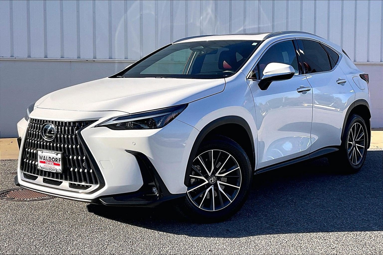 2025 Lexus NX