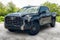 2023 Toyota TUNDRA 4X4 Platinum