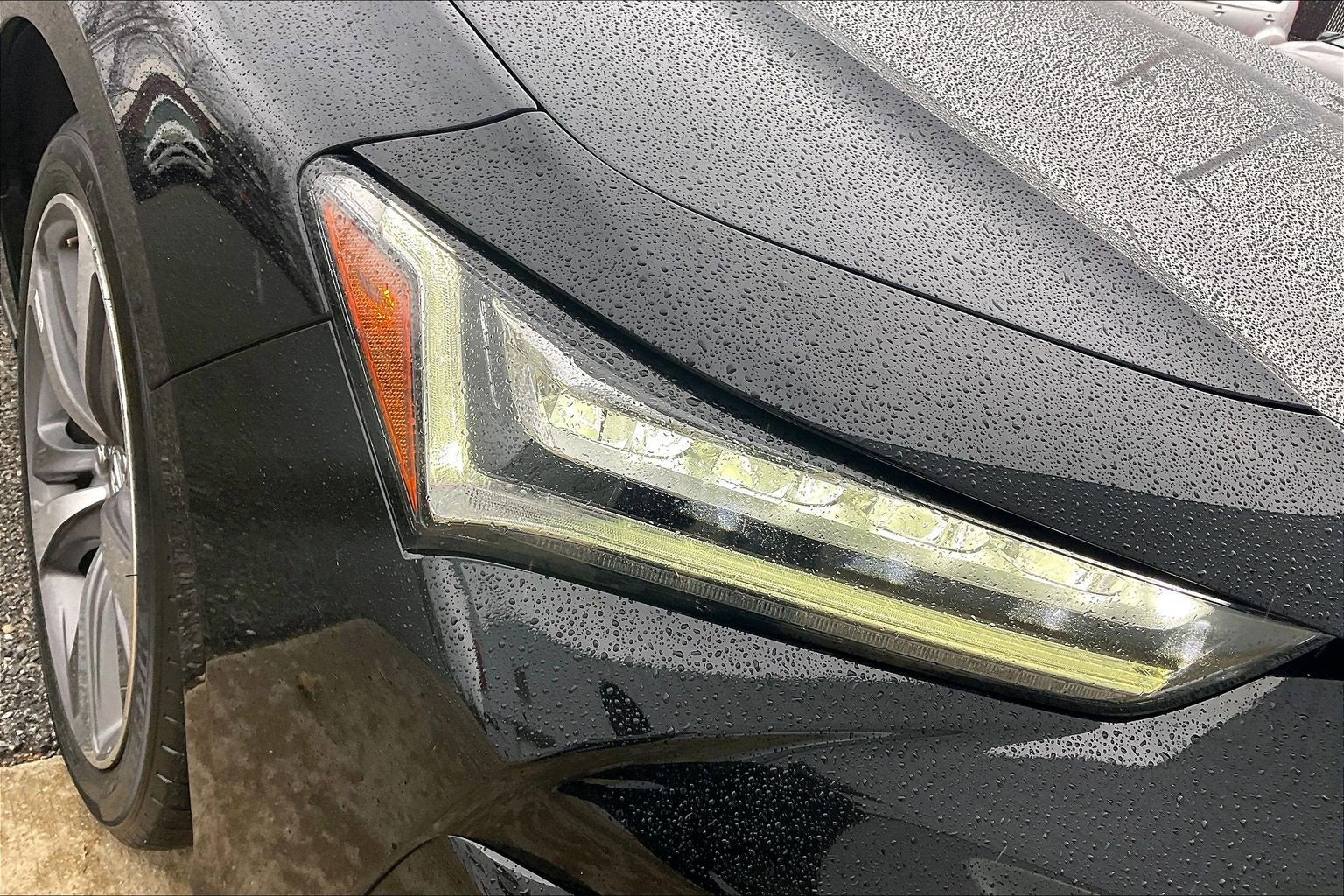 2023 Acura TLX w/Advance Package