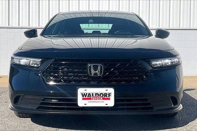 2024 Honda Accord Sport