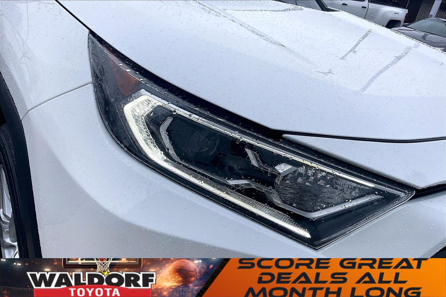 2019 Toyota RAV4 Hybrid XLE