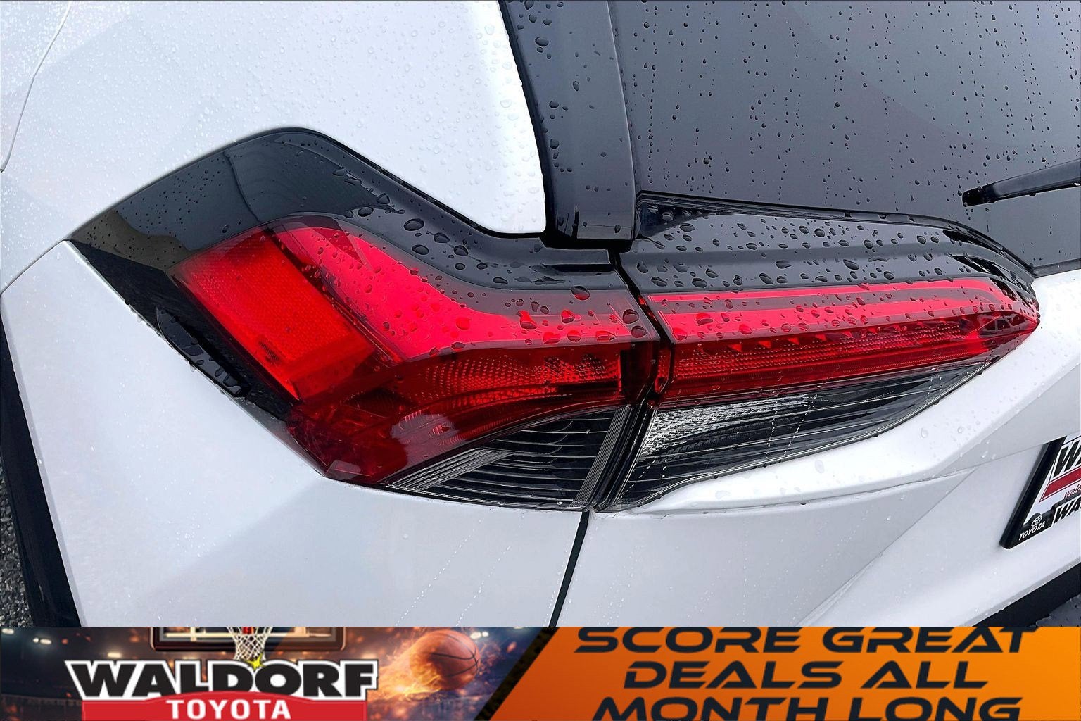 2019 Toyota RAV4 Hybrid XLE