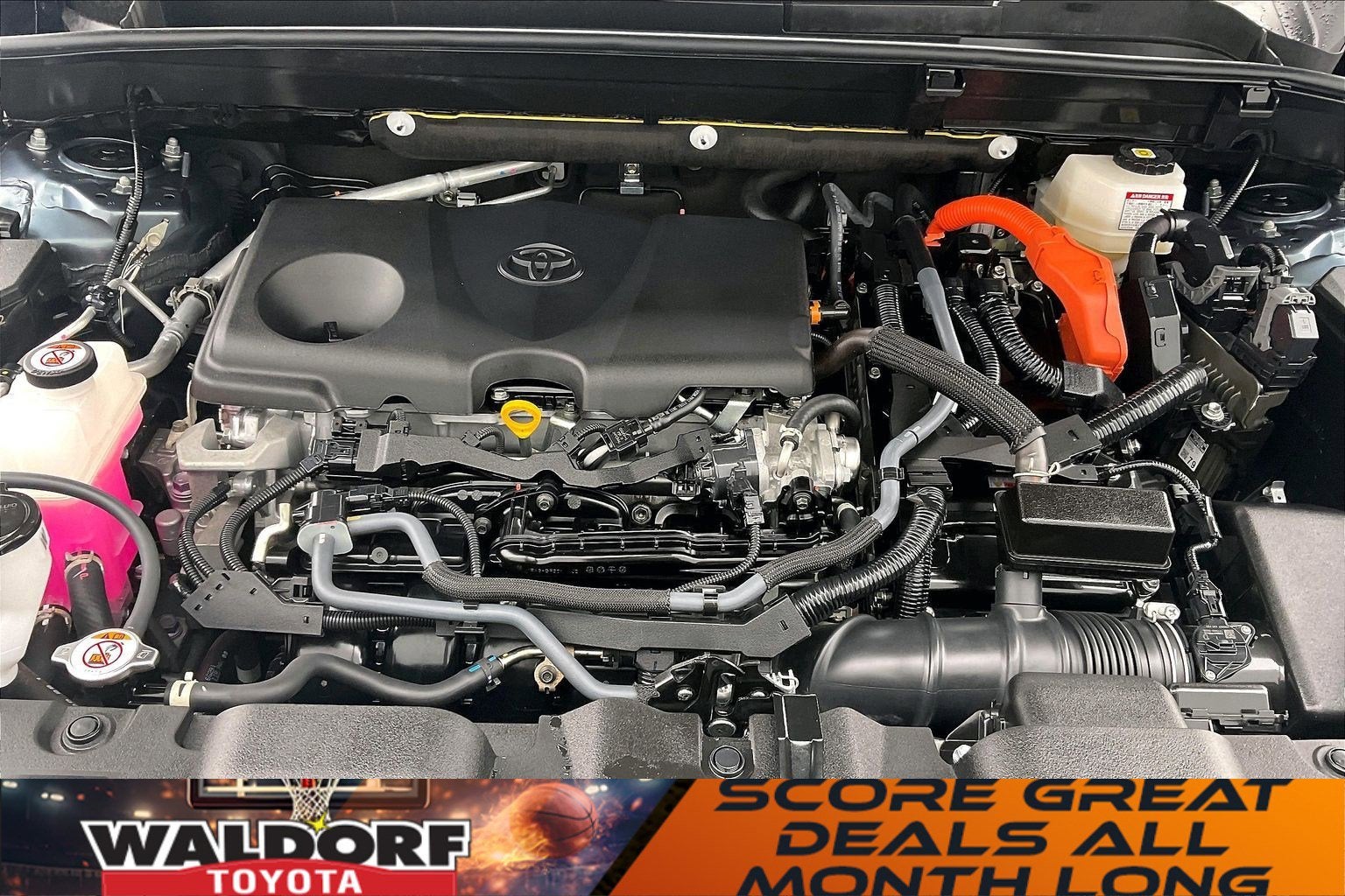 2023 Toyota Venza LE