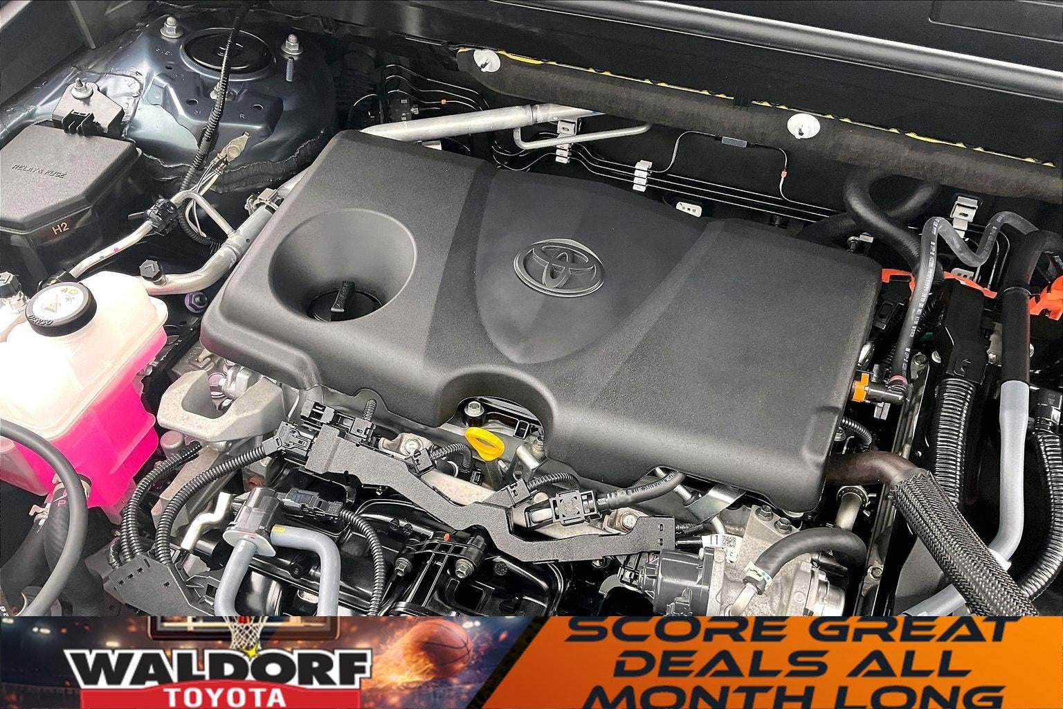 2023 Toyota Venza LE