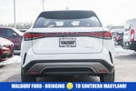 2025 Lexus RX RX 350