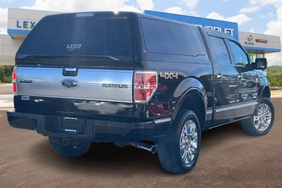 2013 Ford F-150 Platinum